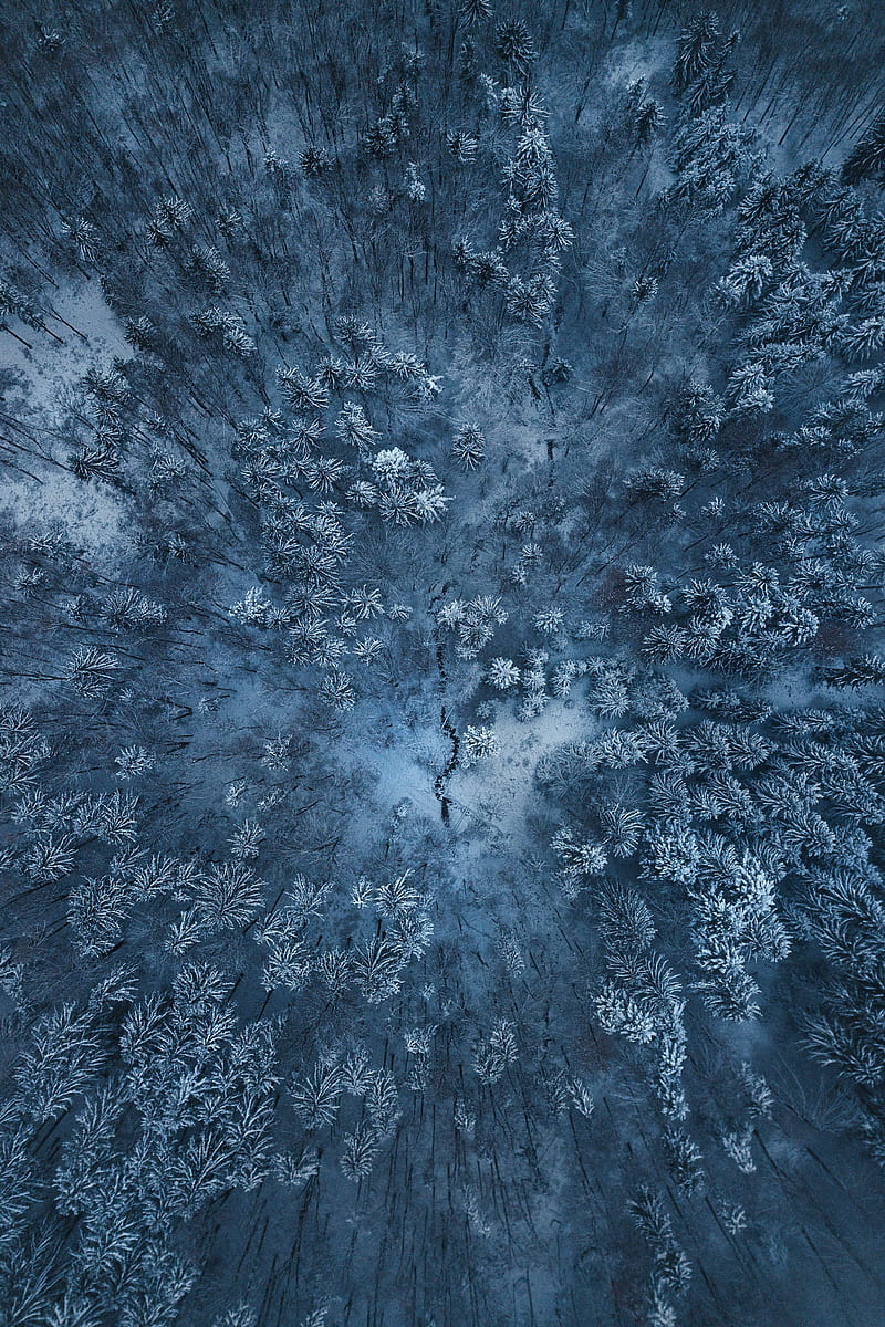 winter forest, aerial view, snow, HD phone wallpaper