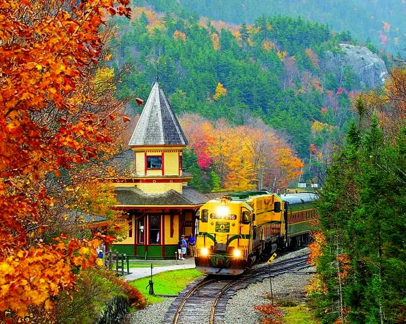 Scenic Railroad Train, Yellow, Train, Fall, Trees, Orange, Rainroad, Scenic, House, Leaves, HD wallpaper