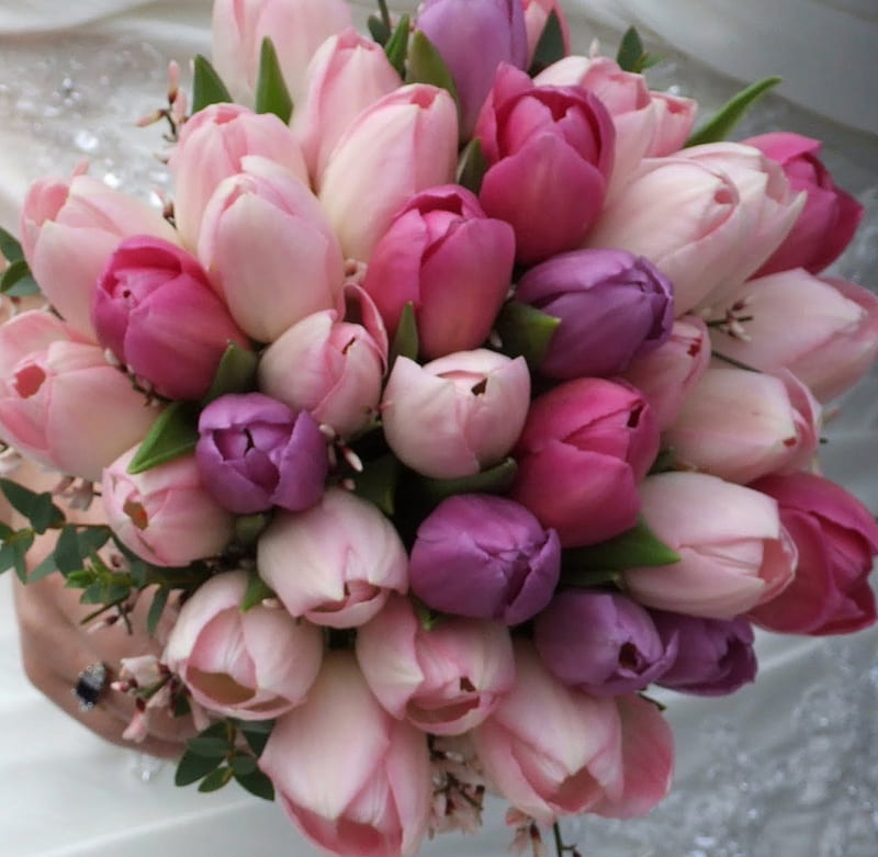 Tulip bouquet, purple, bouquet, flowers, tulips, pink, HD wallpaper