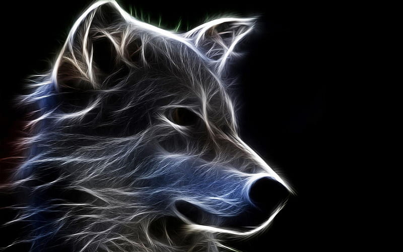 3d wolf, 3d wolf, background, HD wallpaper | Peakpx