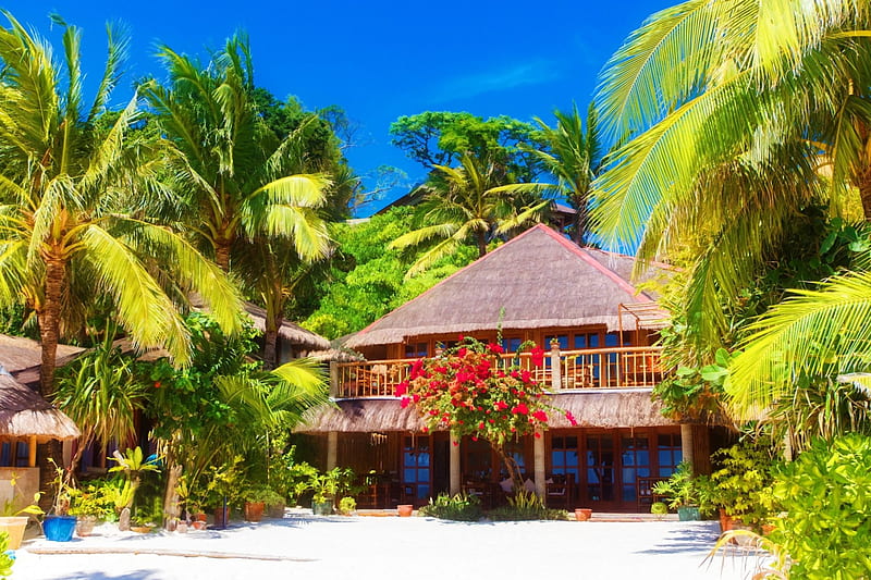 Beautiful Tropical Home, coast line, sand, home, flowers, bonito, tropics, sky, palm trees, HD wallpaper