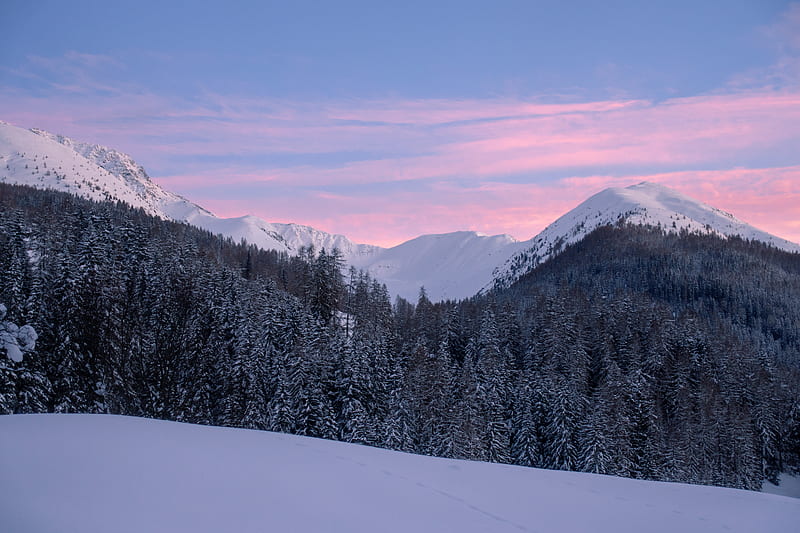 mountains, snow, winter, snowy, trees, mountain landscape, switzerland, HD wallpaper