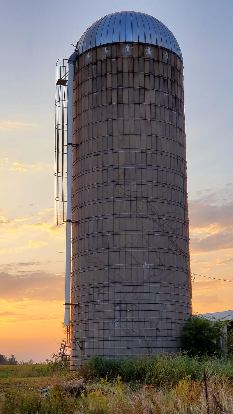 grain silo, bin, country, farmer, farming, food, grain, silo, HD phone wallpaper