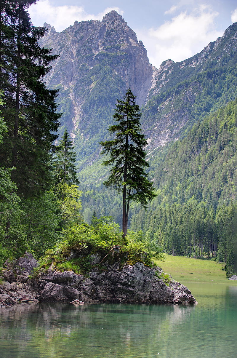 mountains, trees, lake, shore, landscape, HD phone wallpaper