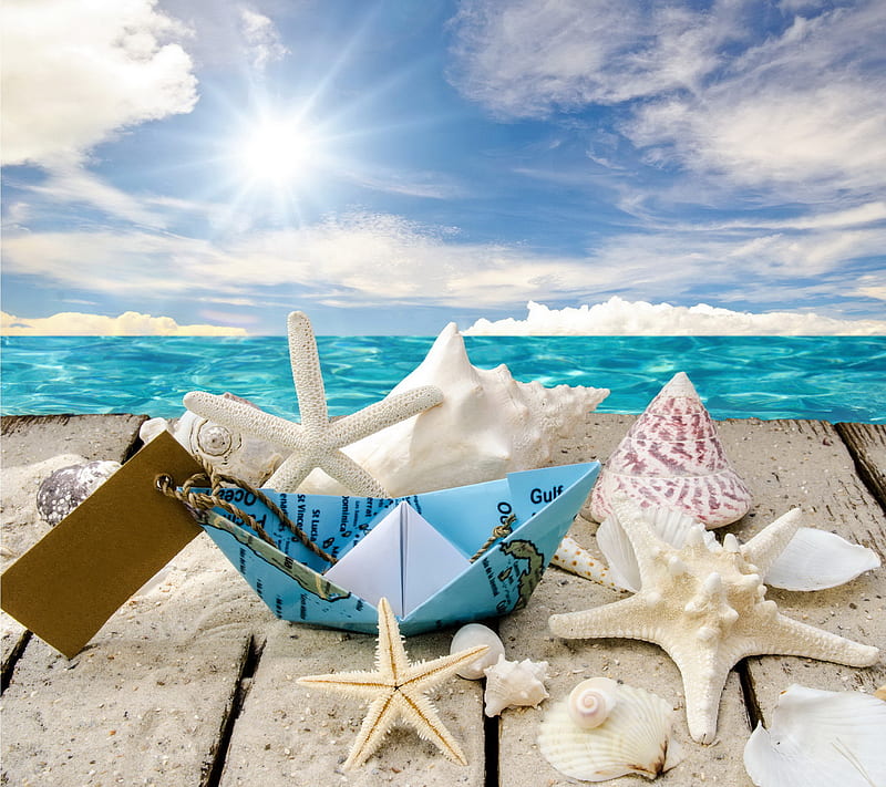 Seashells, beach, sea, shells, starfish, sunshine, HD wallpaper | Peakpx