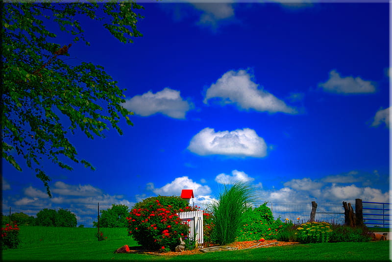 A Bright Morning, fence, tree, grass, flowers, clouds, sky, HD