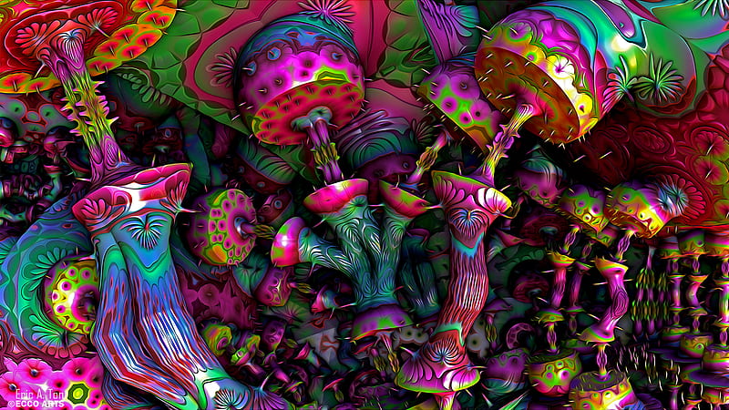 Colorful Mushroom Psychedelic Trippy, HD wallpaper | Peakpx