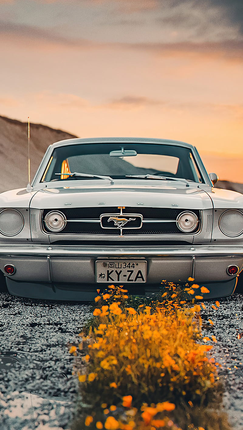 Car In Flower Field Ultra Vertical Cars Hd Phone Wallpaper Peakpx