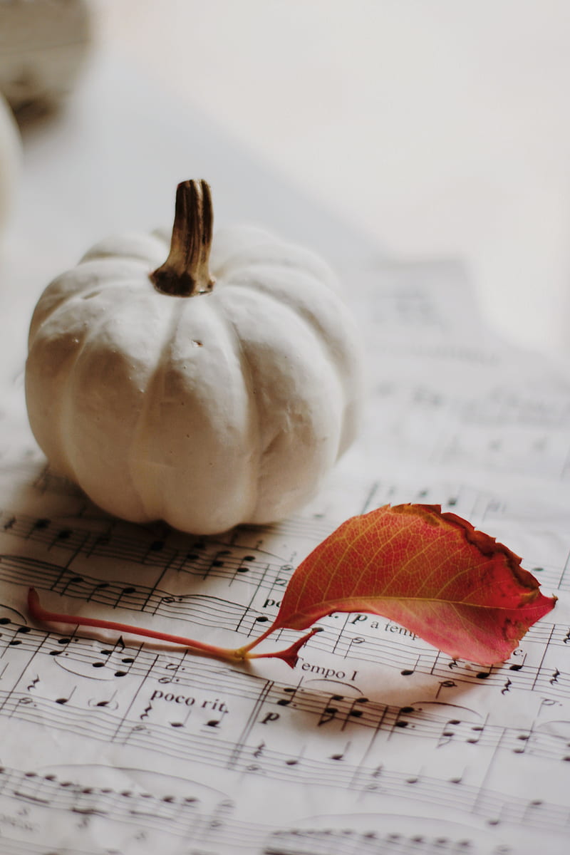 pumpkin, leaf, notes, autumn, HD phone wallpaper