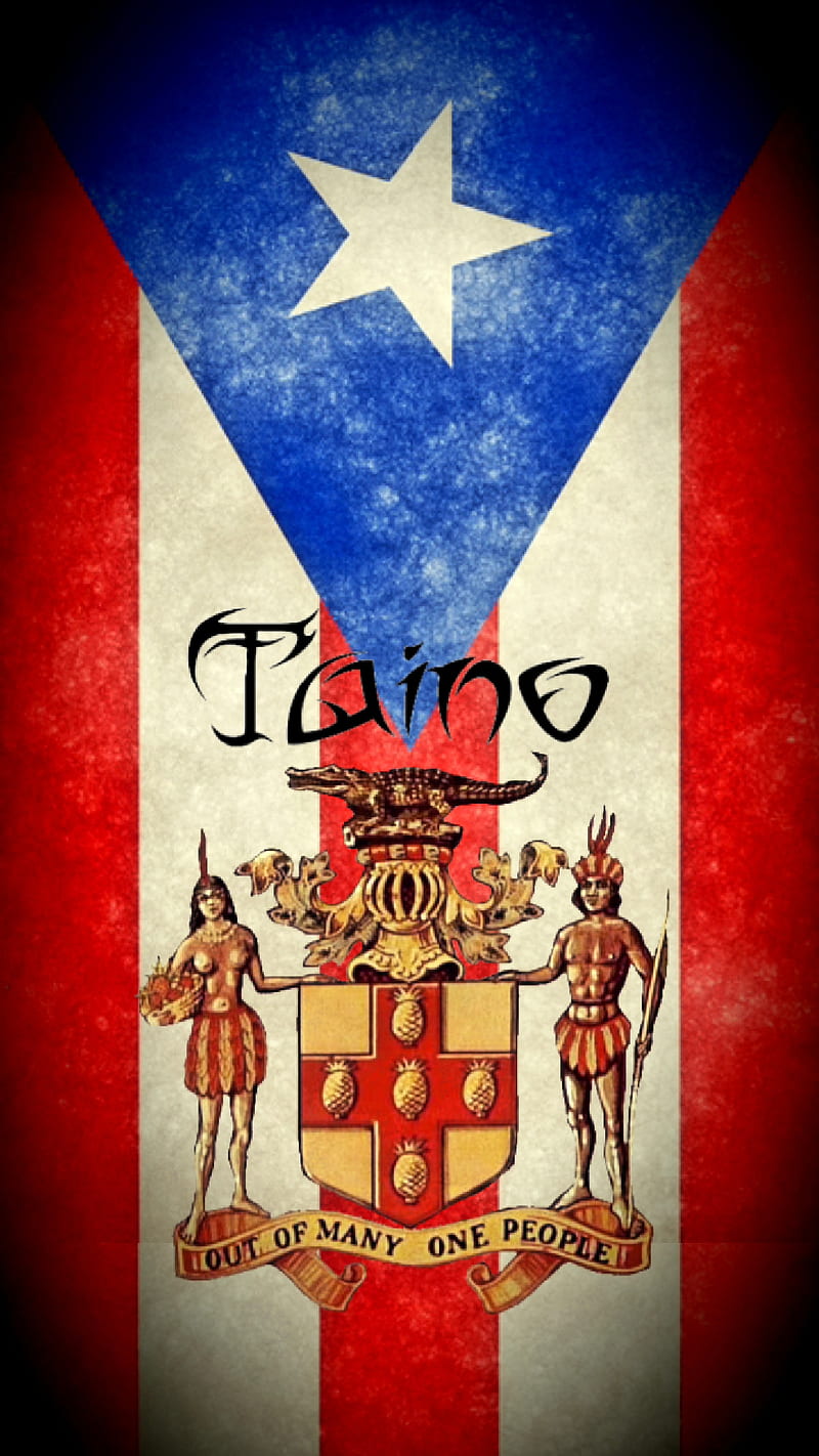 Puerto Rico Flag, crest, heritage, hispanic, spanish, taino indian, taino indio, HD phone wallpaper