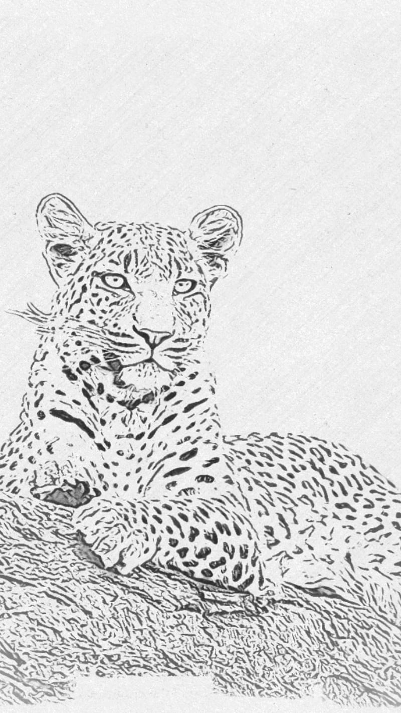Leopard of jungle , jaguar, leopards, neon, snow, HD phone wallpaper