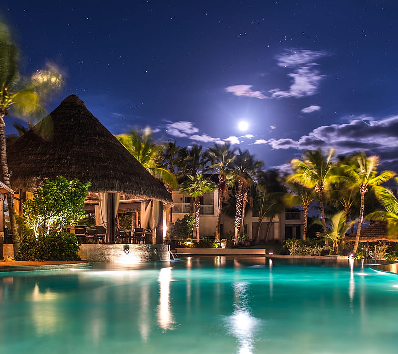 Poolside Moonlight, luxury, moon, night, palm, paradise, pool, tropical, HD wallpaper