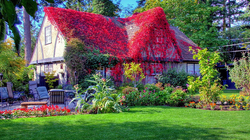 Red Leaves Covered House Roof And Blossom Spring Flowers Surrounded Spring Background, HD wallpaper