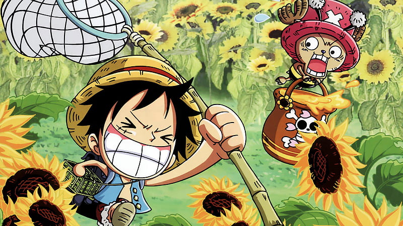 Tony Tony Chopper Monkey D. Luffy One Piece, HD wallpaper