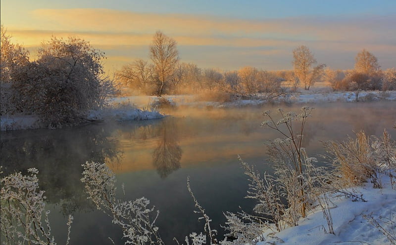 The Last days of Winter, tree, river, snow, winter, HD wallpaper