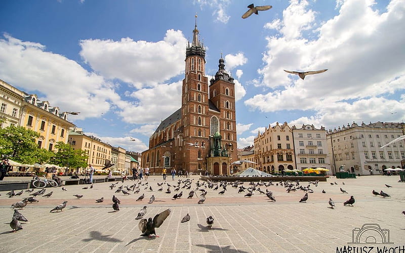Marketplace in Krakow, Poland, houses, square, Krakow, Poland, pigeons, church, clouds, HD wallpaper