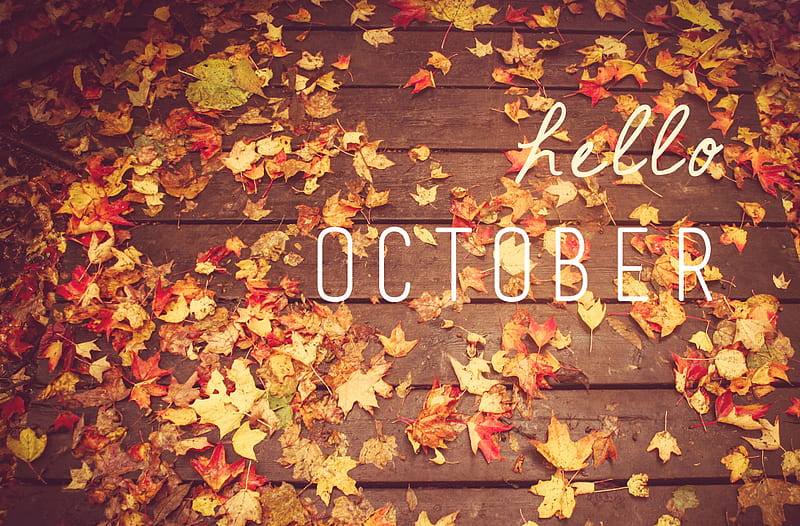 Hello October, Fallen leaves, Wood, October, Floor, HD wallpaper