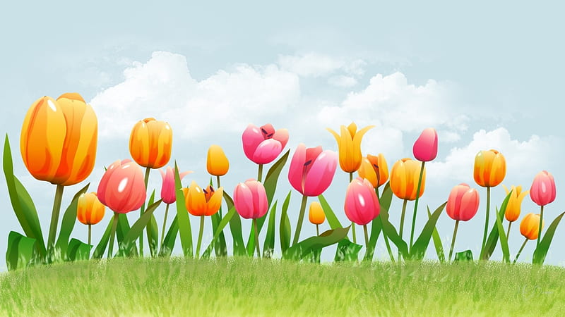 Spring Tulip Garden, colorful, grass, flowers, spring, tulips, clouds, sky, HD wallpaper