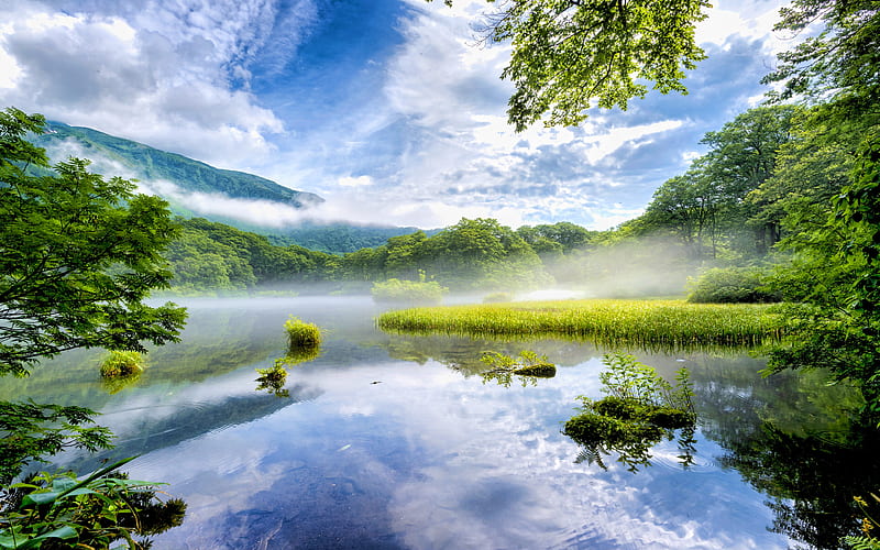 Japanese nature lake, morning landscapes, fog, Nara, japan, Asia, beautiful  nature, HD wallpaper | Peakpx