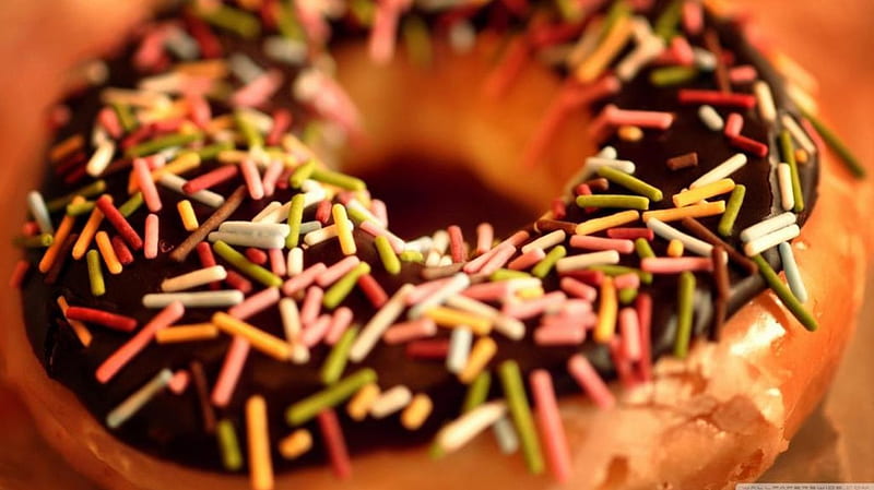 Donut close up, cake, sweets, food, desserts, abstract, eat, softness, sweet, cookies, graphy, macro, colours, HD wallpaper