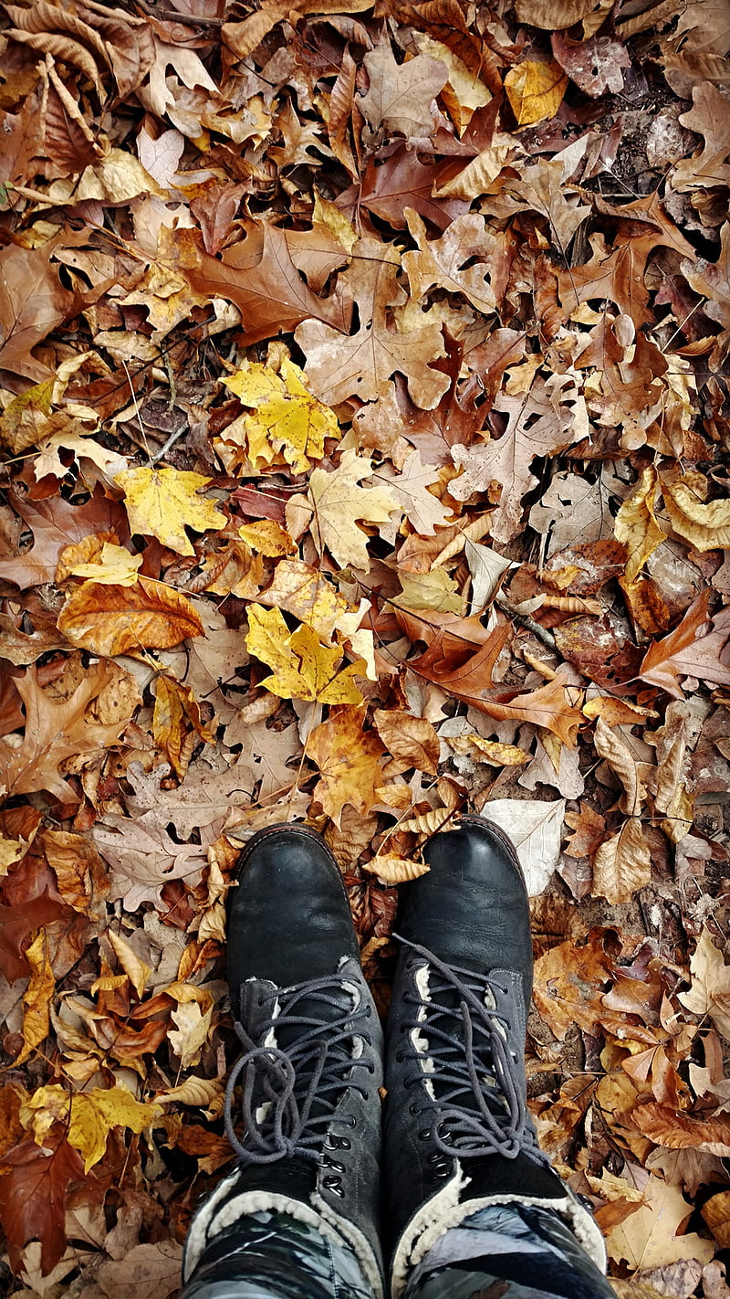 Boots in leaves, feet, fall, nature, woods, cold, weather, legs, shoes, HD phone wallpaper