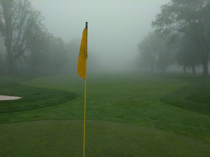 Golf foggy, foggy golf, golf course, locust hill golf course, HD wallpaper