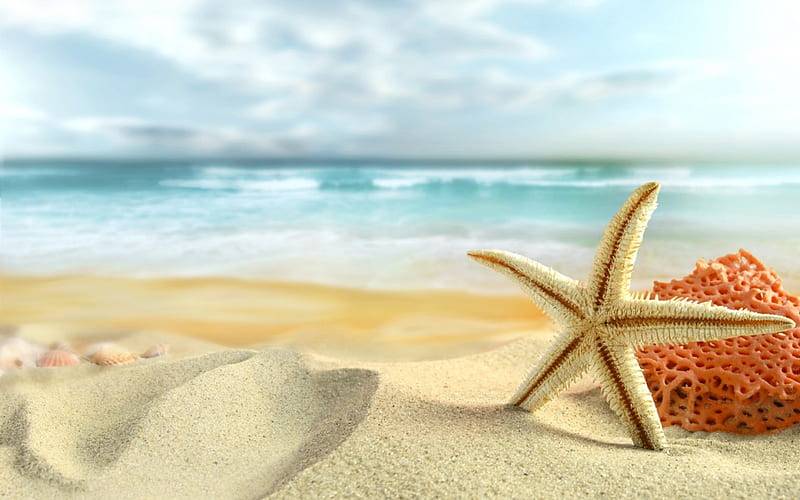 Summer Time!, orange, time, ocean, yellow, waves, starfish, sea, beach, sand, shell, summer, blue, HD wallpaper