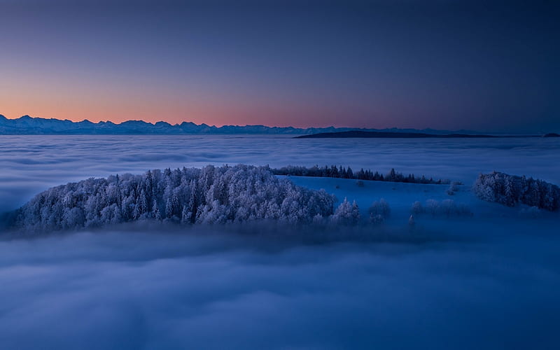 Landscape, mountain, Jura Who Said Thanks Mountains, nature, Switzerland, trees, winter, mist, HD wallpaper