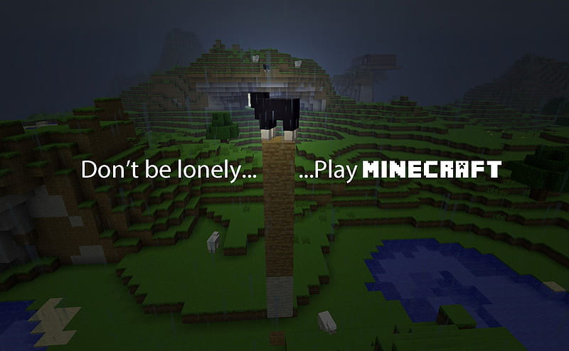 Play Minecraft!, sheep, justin bieber, haha, Minecraft, pokemon, lonely, HD wallpaper