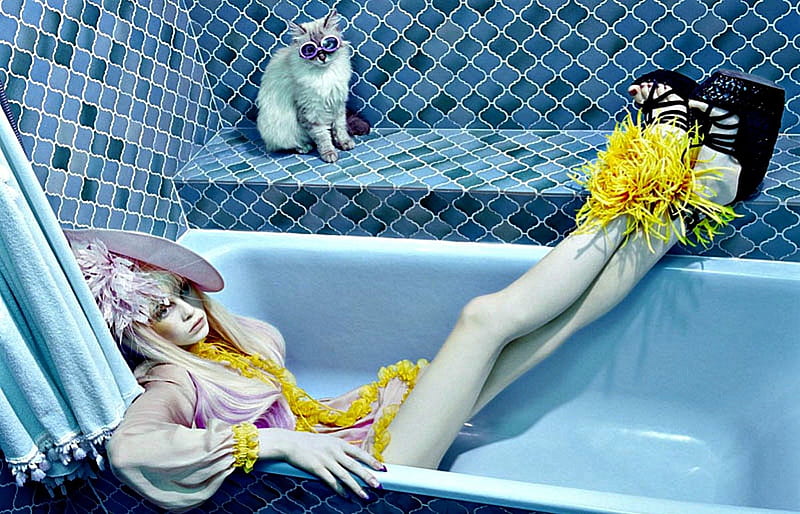 Siri Tollerod, swimsuit, model, black, yellow, bath, cat, woman, hat, sunglasses, cute, girl, summer, funny, blue, HD wallpaper