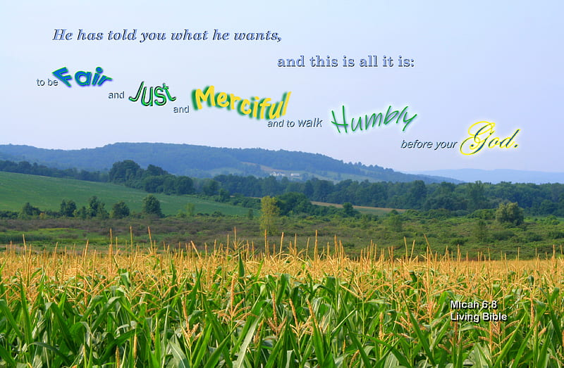 Walk Humbly with God, cornfield, farmland, corn, hills, farm, Bible, HD wallpaper