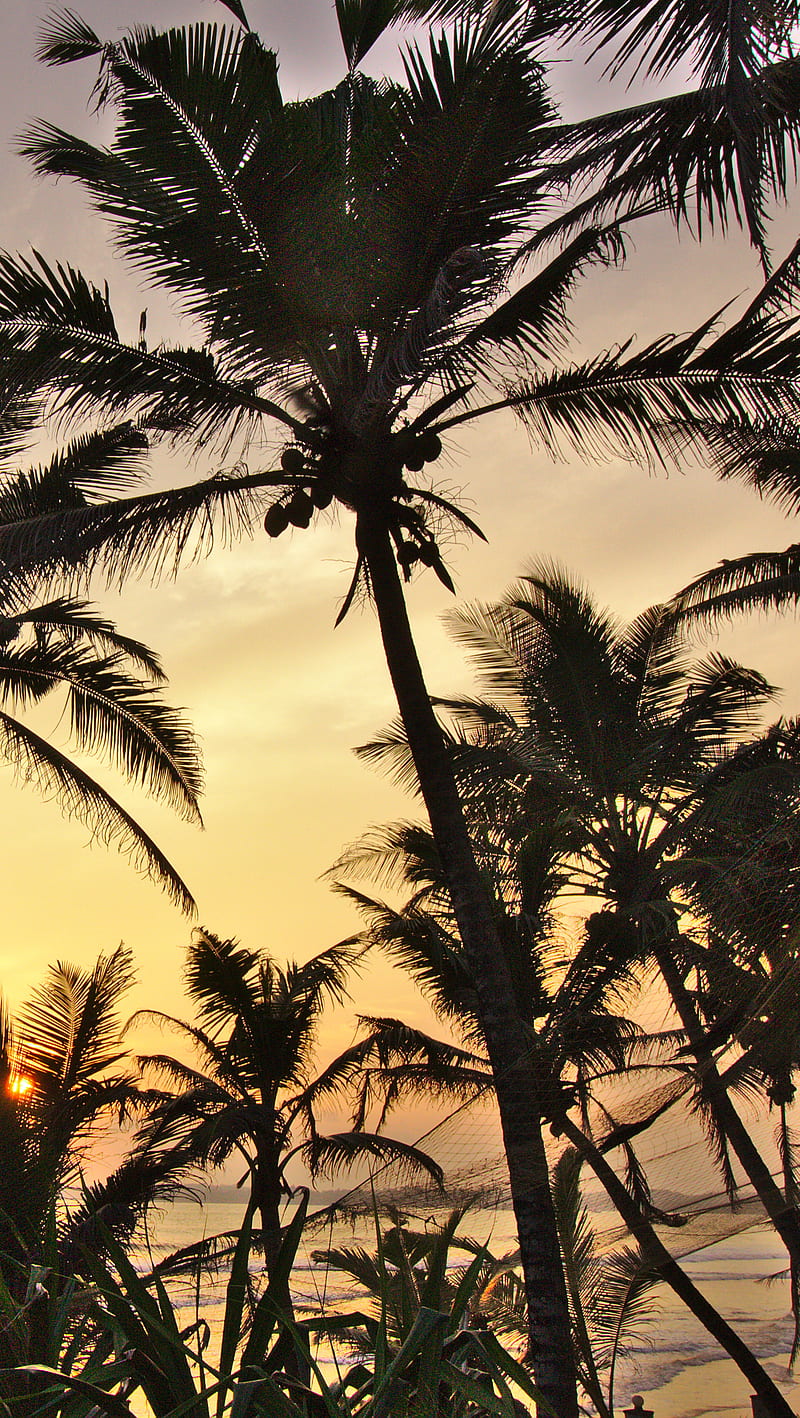 Palm Beach Sri Lanka, cloud, mirissa, sea, sri lanka, sunset, HD phone wallpaper