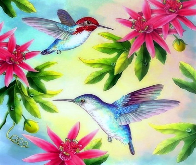 'Bee Hummingbirds', pretty, lovely, hummingbirds, colors, love four seasons, birds, bonito, spring, creative pre-made, paintings, summer, flowers, lovely flowers, animals, HD wallpaper