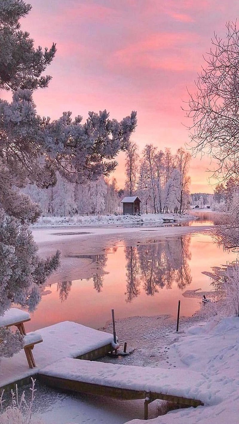 Winter, lake, snow, tree, HD phone wallpaper