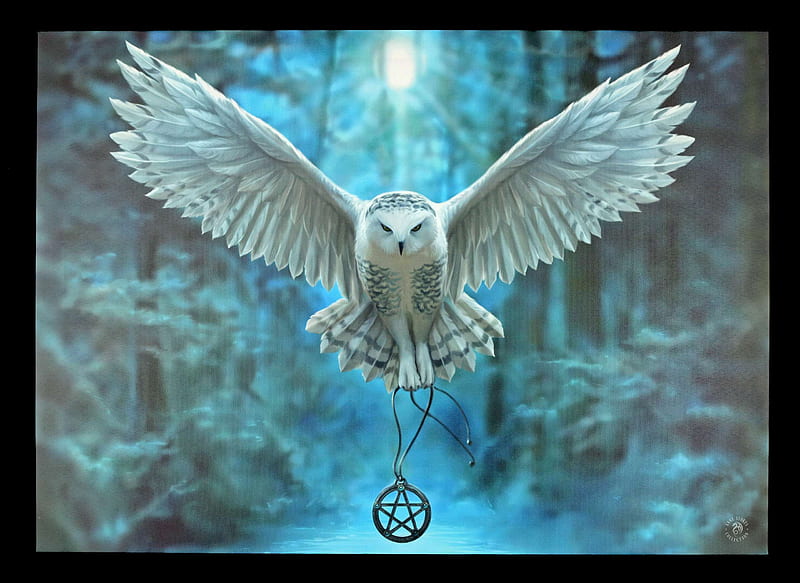 Owl, wings, anne stokes, pendant, winter, wicca, fantasy, snow owl, bufnita, bird, white, blue, HD wallpaper