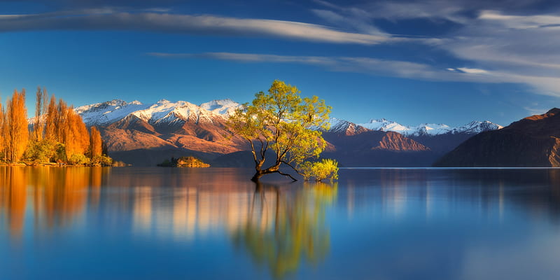 Tree In Center Of Lake Reflection In Water, tree, lake, nature, reflection, water, mountains, HD wallpaper