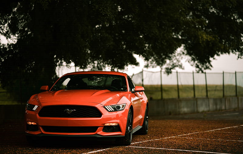 ford mustang, ford, car, sportscar, red, front view, HD wallpaper