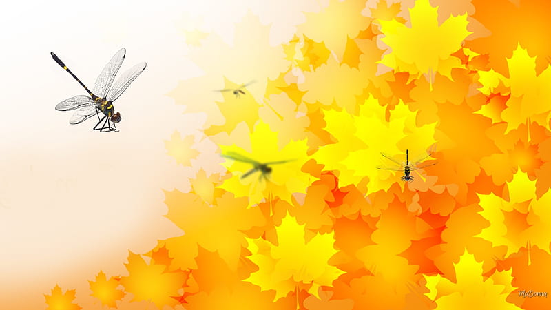 Dragonflies on Gold, fall, autumn, yellow, abstract, leaves, gold, dragonflies, nature, Firefox Persona theme, HD wallpaper