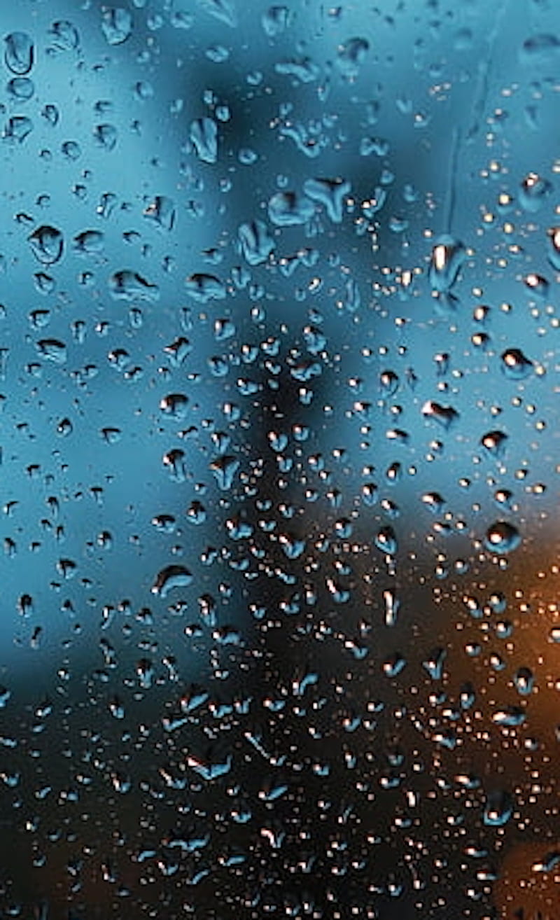 raindrops, day, rain, HD phone wallpaper