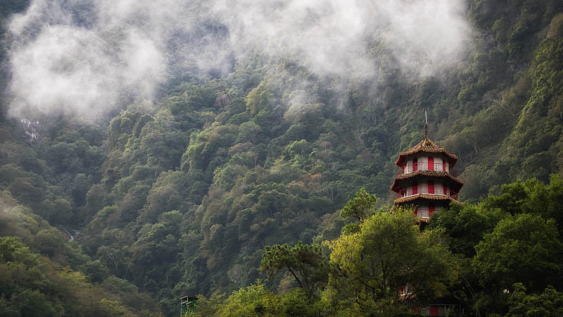 taiwan, taroko gorge, national park, fog, trees, Nature, HD wallpaper