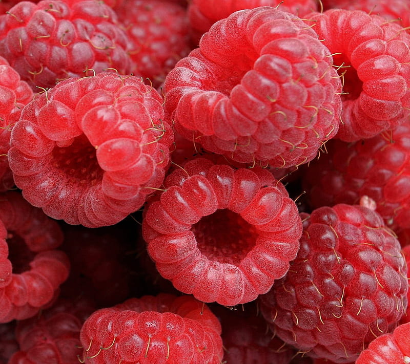 raspberries, bless you, love, HD wallpaper