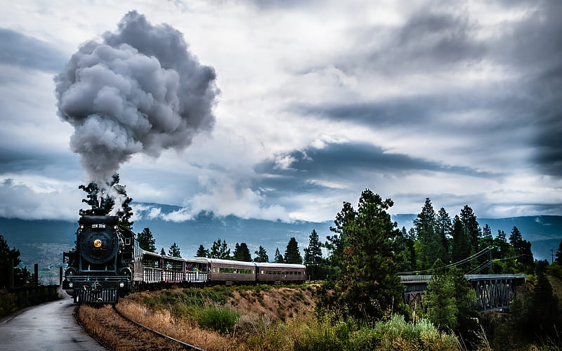 steam locomotive, train, bridge, rails, trees, clouds, smoke, HD wallpaper