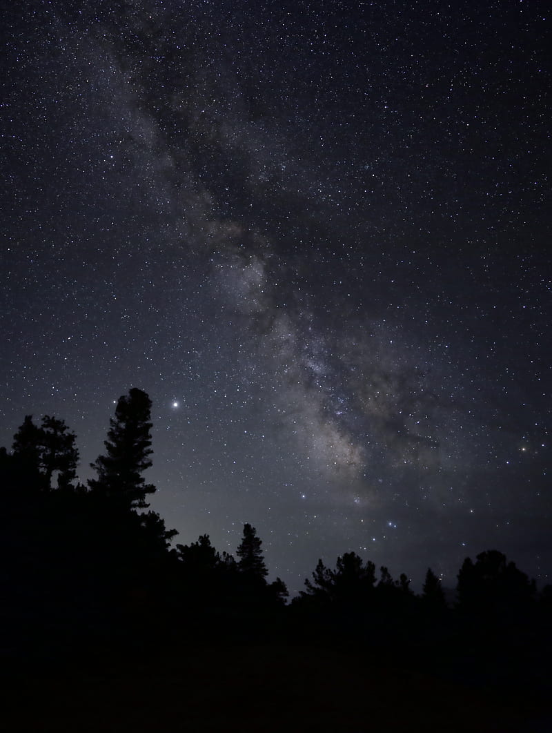 nebula, starry sky, stars, trees, silhouette, HD phone wallpaper