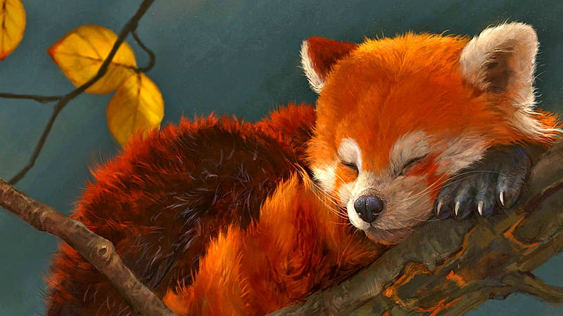 Nappy Time Cute Fall Autumn Red Panda Animal Hd Wallpaper Peakpx - Red Panda Images Hd Wallpapers