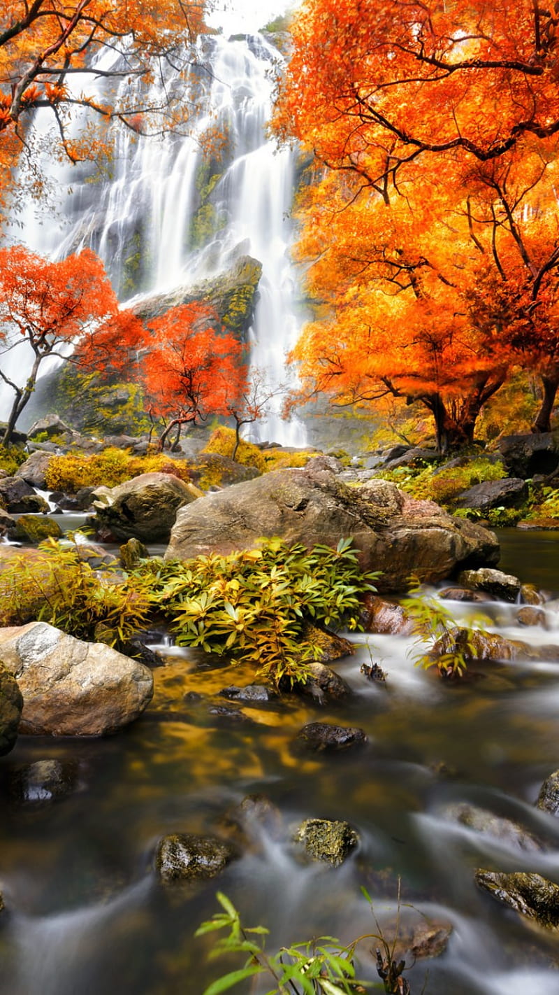 Beautiful Waterfall, background, nature, nice, view, HD phone wallpaper