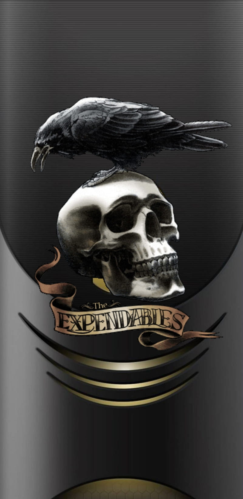Expendable, raven, skull, HD phone wallpaper
