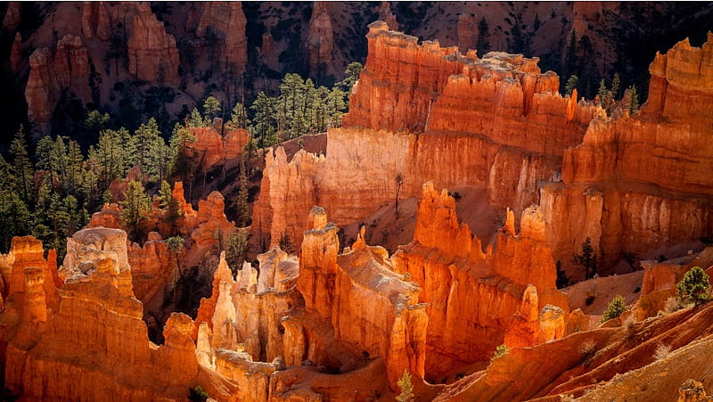 Bryce Canyon National Park Utah Unit, HD wallpaper