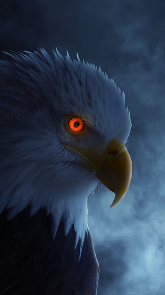 HD fierce eagle wallpapers | Peakpx