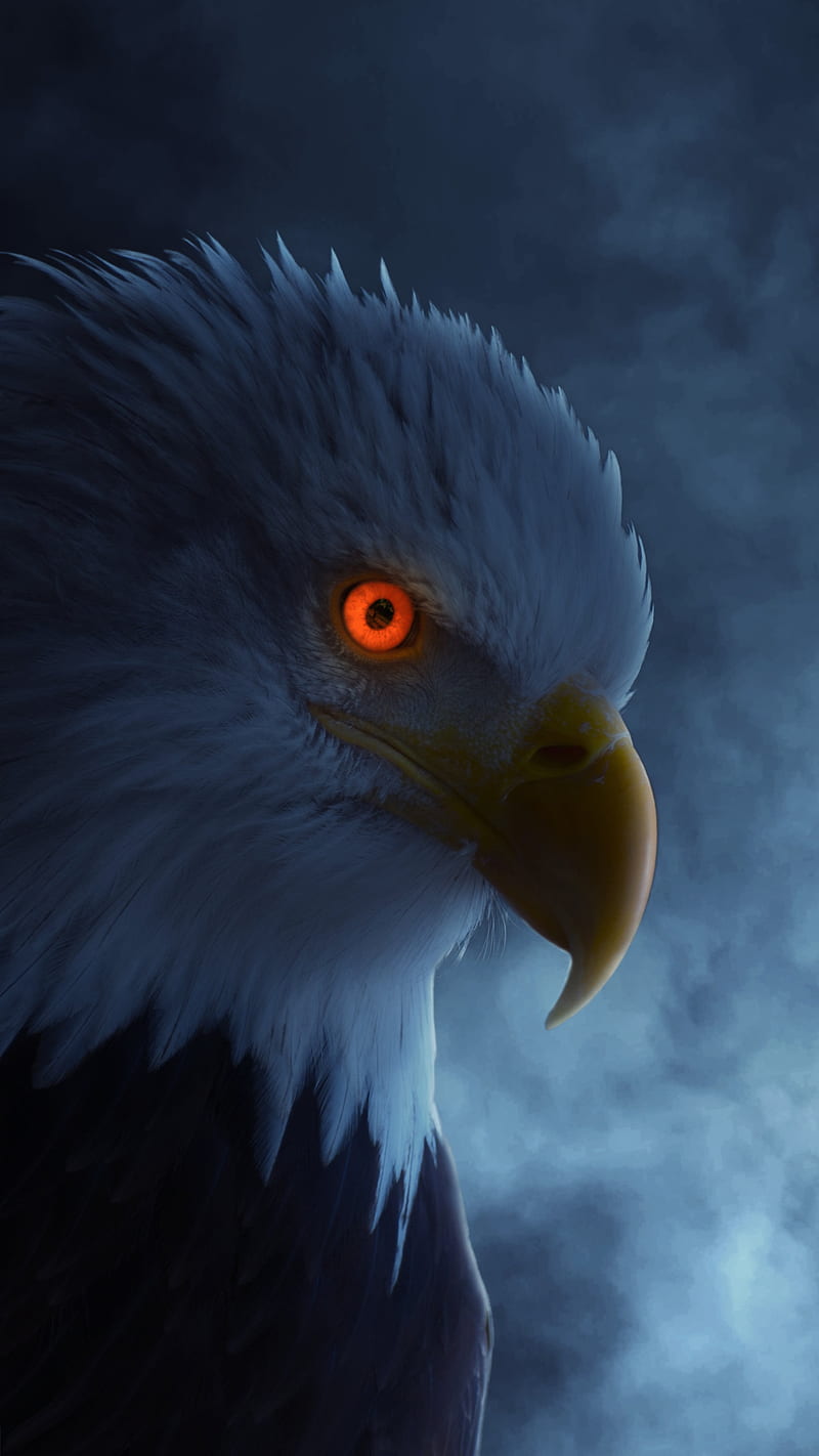 Eagle Eye, bird, digital art, dramatic, fierce, fog, glow eye, hunter, smoke, HD phone wallpaper