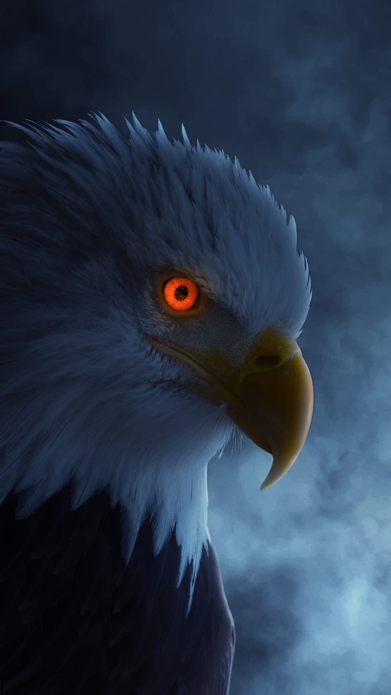 Fierce Eagle